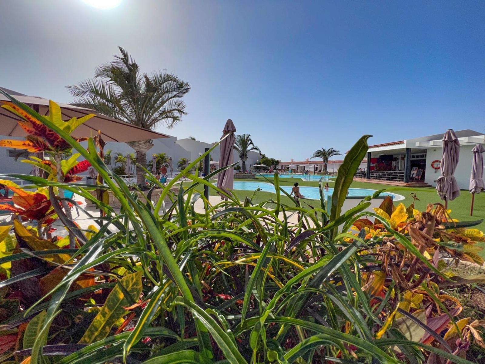 Malibu Park Apartments Sol Costa Adeje  Buitenkant foto